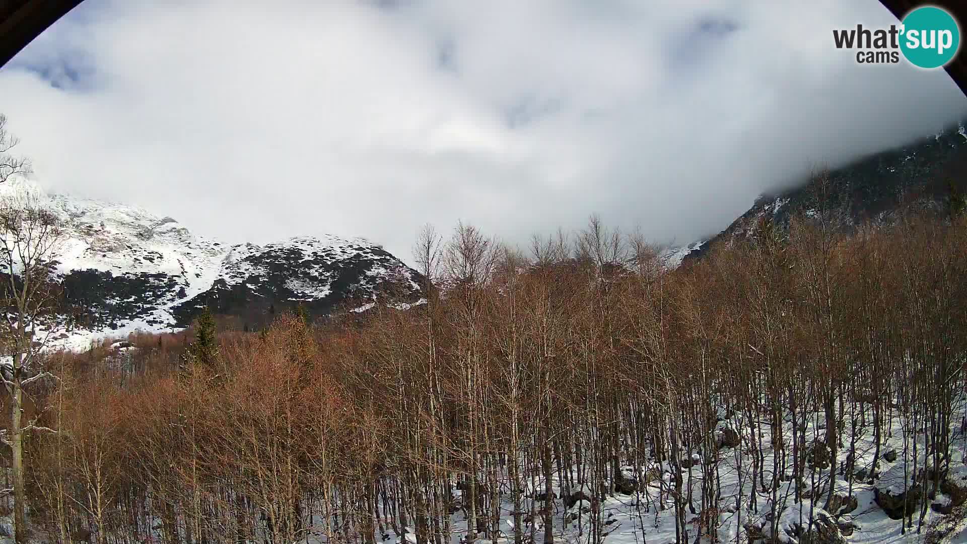 PLANINA RAZOR Live Cam (1315) | vista su Vogel e Globoko