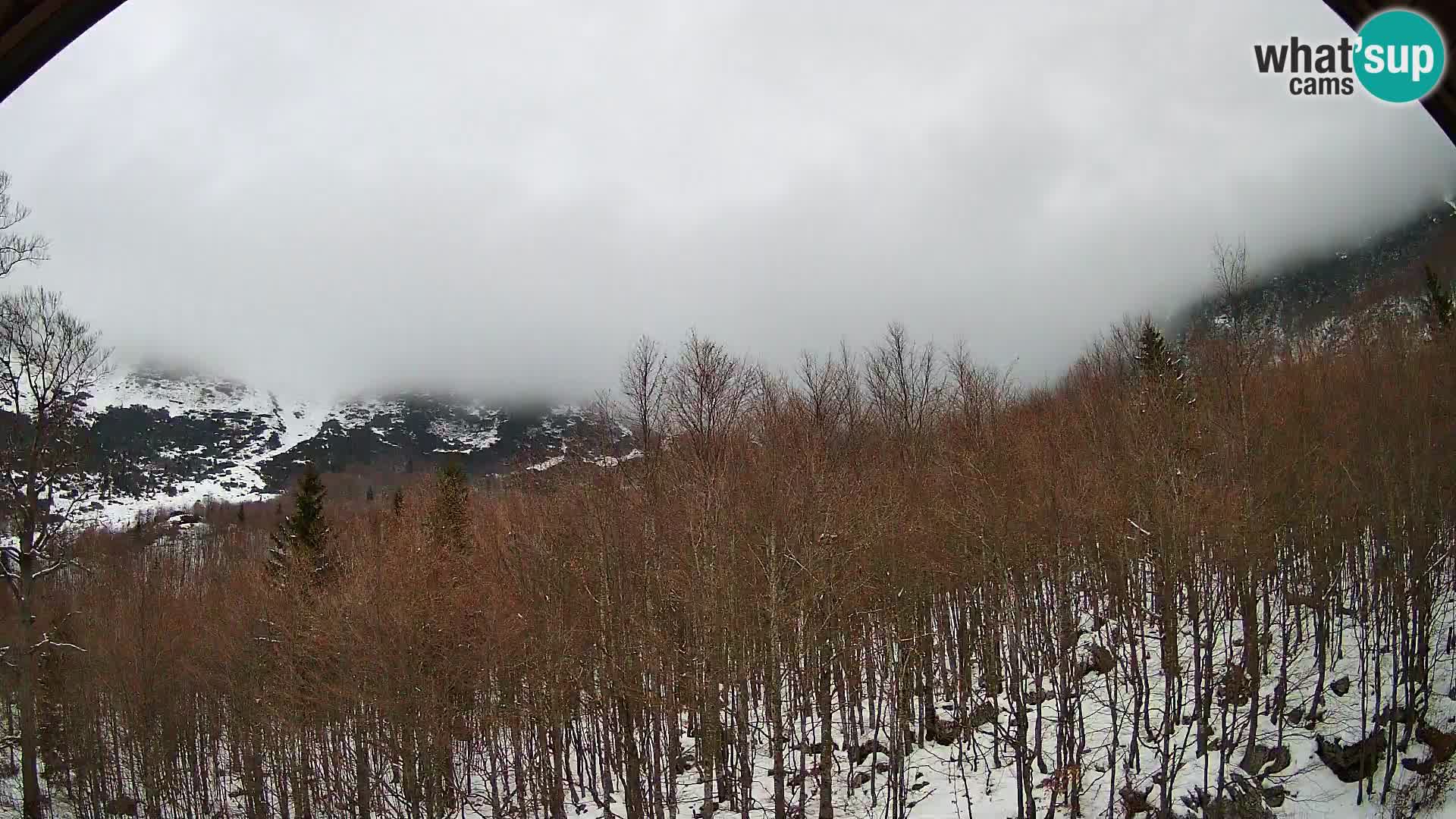 PLANINA RAZOR Live Cam (1315) | vista su Vogel e Globoko