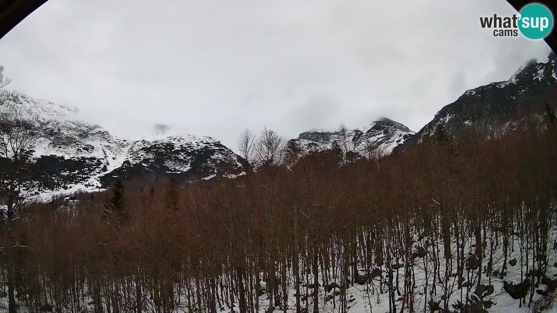 PLANINA RAZOR kamera (1315) | pogled na Vogel in Globoko