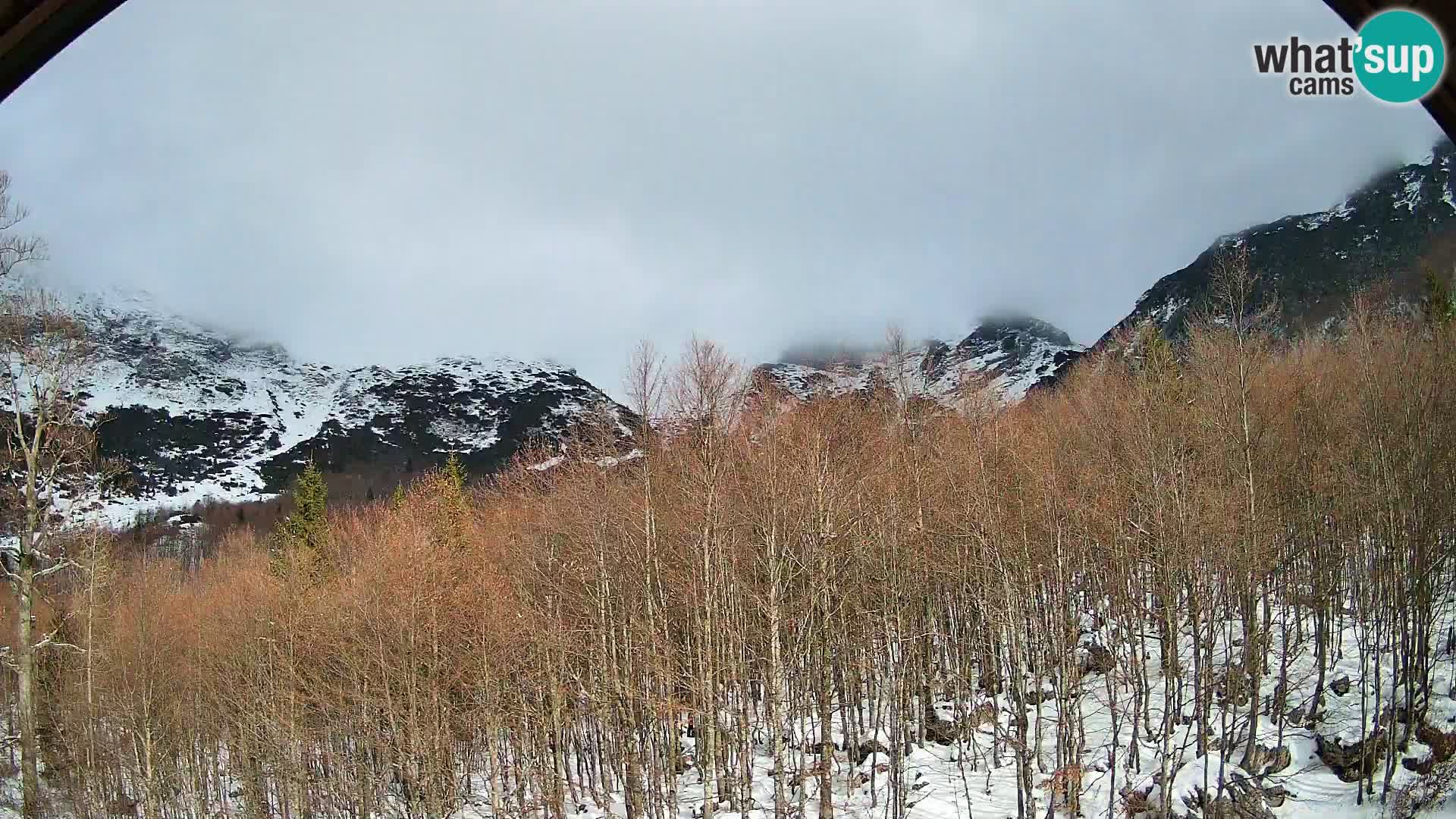 Webcam PLANINA RAZOR (1315) | Blick auf Vogel und Globoko