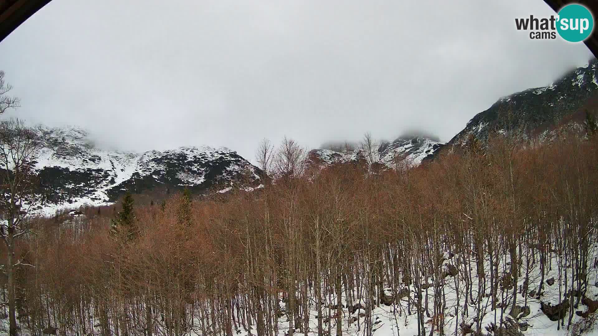 PLANINA RAZOR kamera (1315) | pogled na Vogel in Globoko