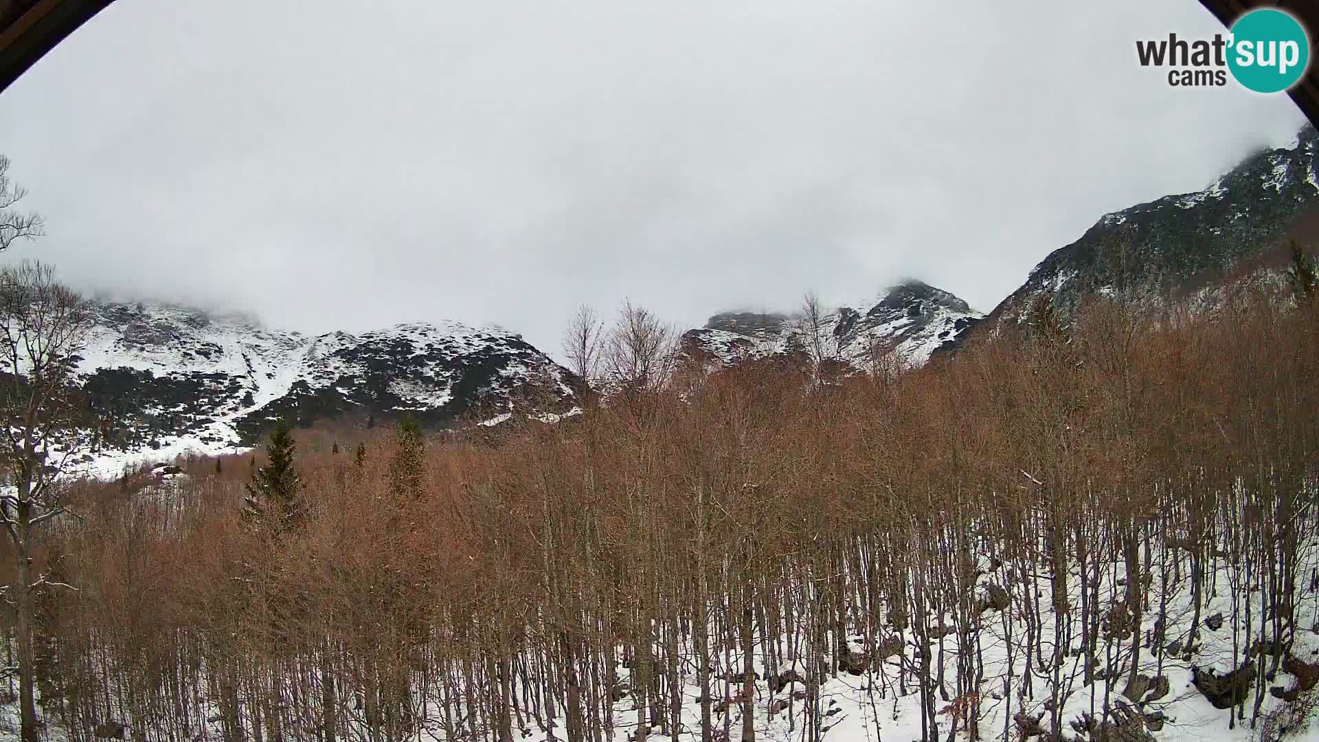 Webcam PLANINA RAZOR (1315) | Blick auf Vogel und Globoko