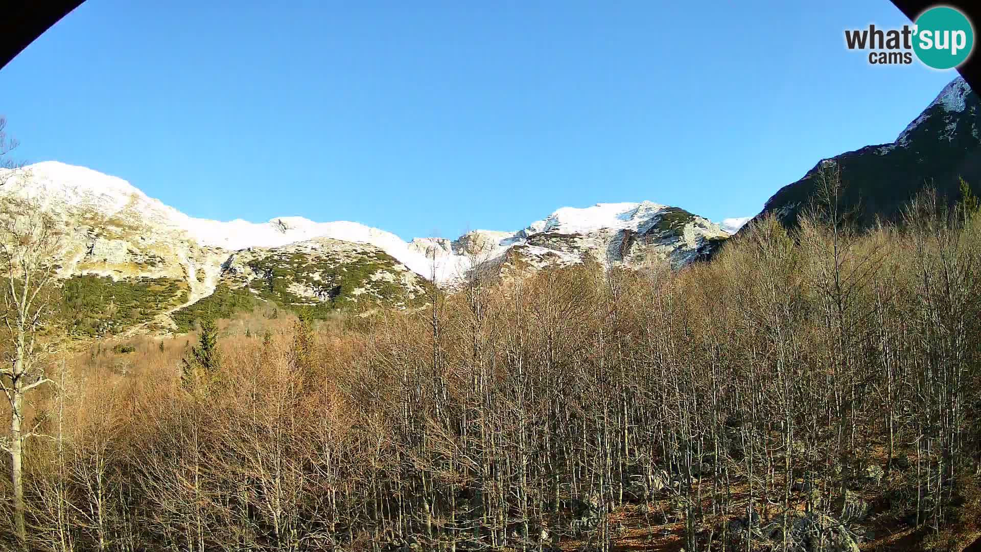 PLANINA RAZOR Live Cam (1315) | vista su Vogel e Globoko