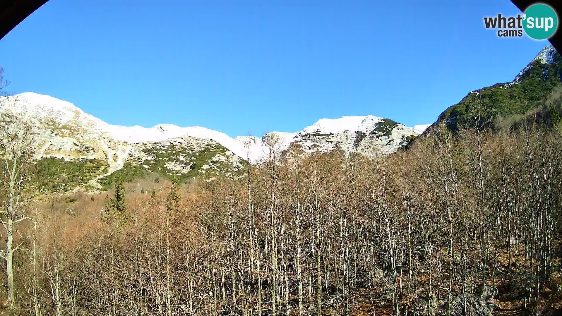 Cámara web PLANINA RAZOR (1315) | vista a Vogel y Globoko