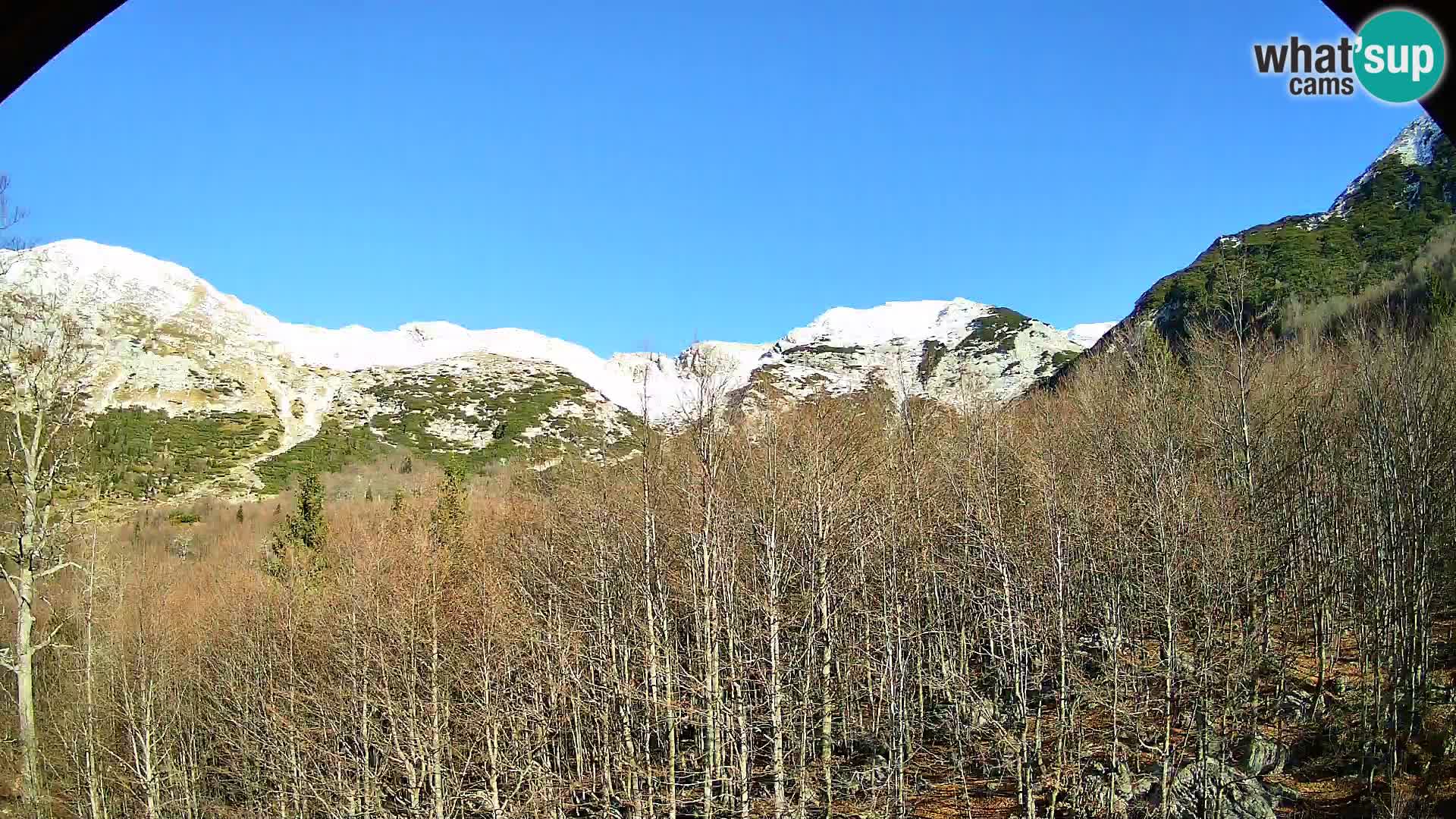 PLANINA RAZOR kamera (1315) | pogled na Vogel in Globoko