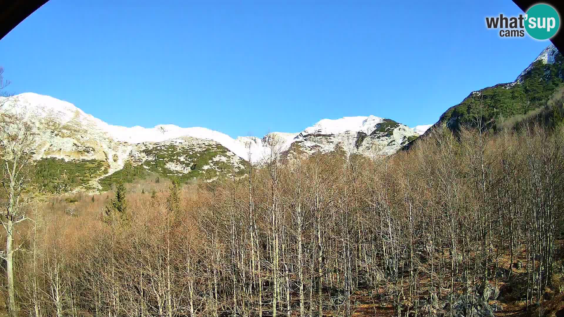 Cámara web PLANINA RAZOR (1315) | vista a Vogel y Globoko