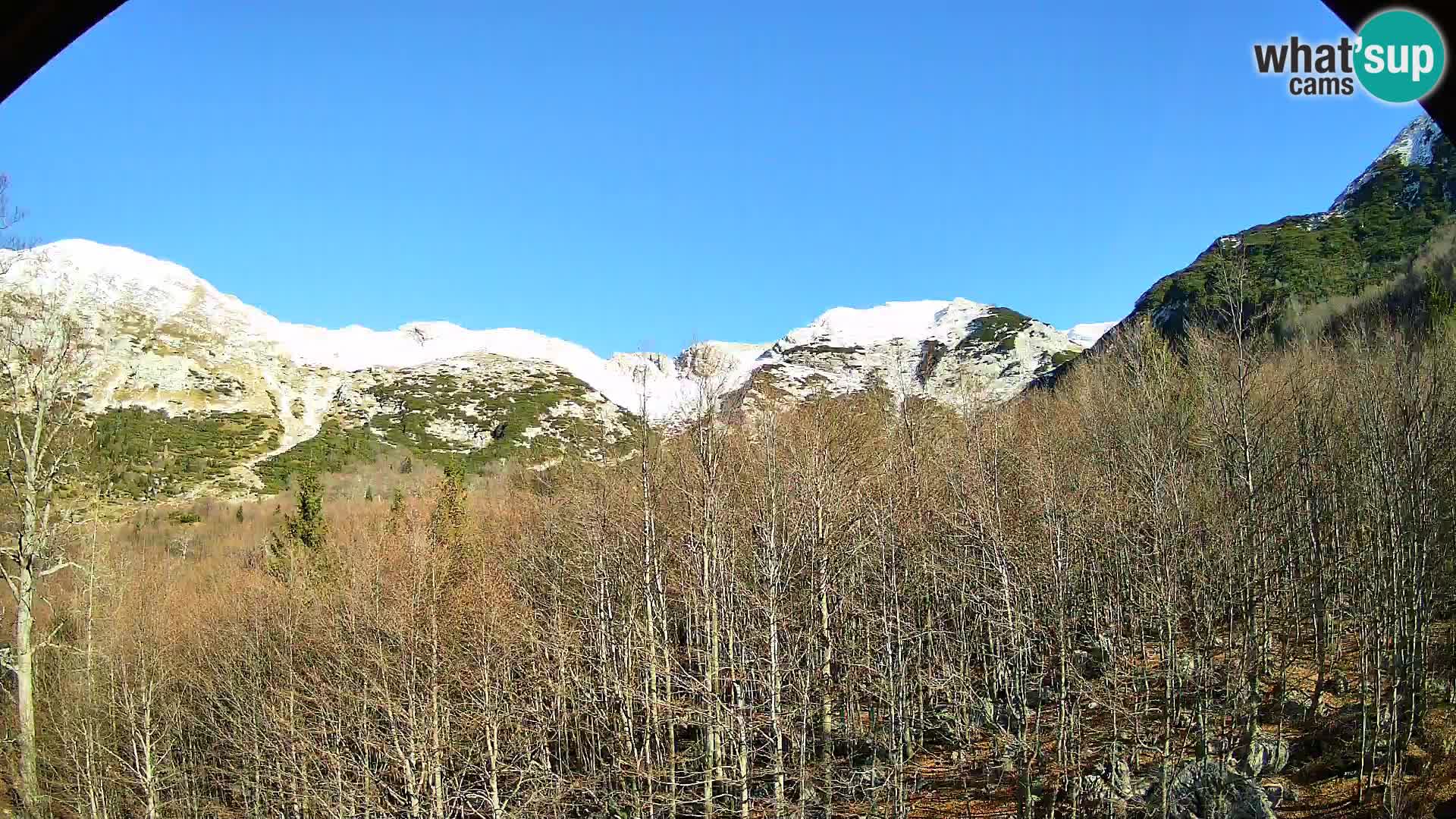 PLANINA RAZOR kamera (1315) | pogled na Vogel in Globoko