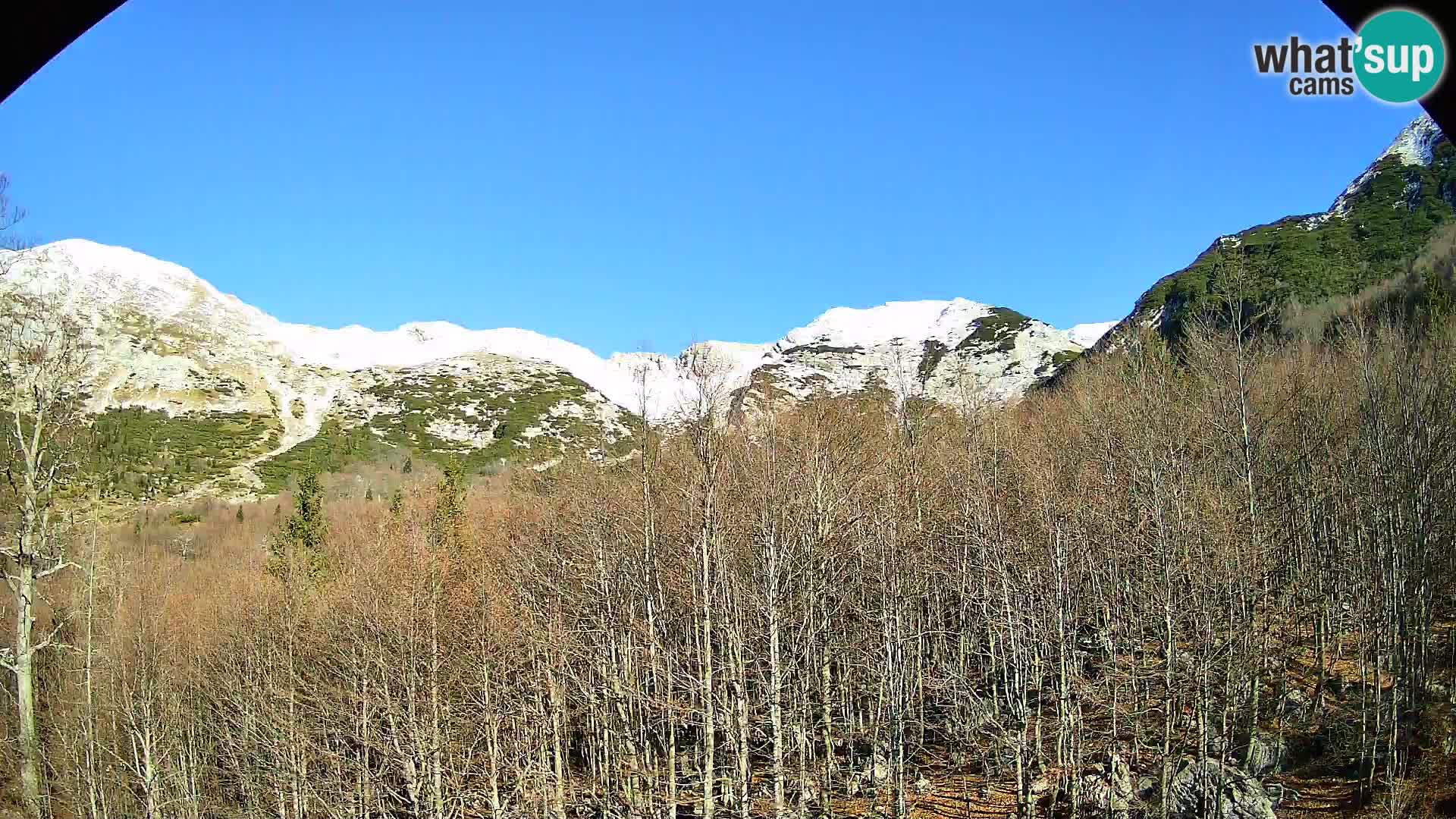 PLANINA RAZOR kamera (1315) | pogled na Vogel in Globoko