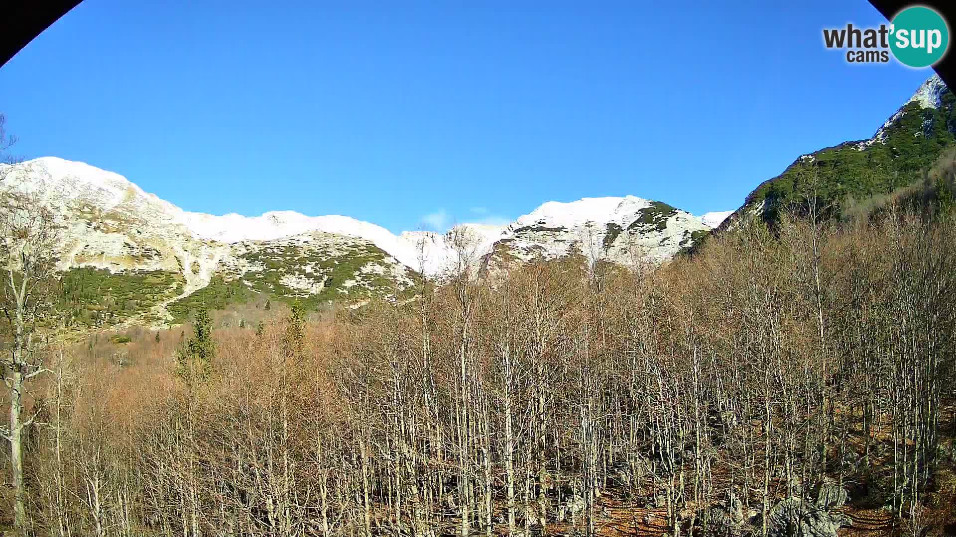 PLANINA RAZOR kamera (1315) | pogled na Vogel in Globoko