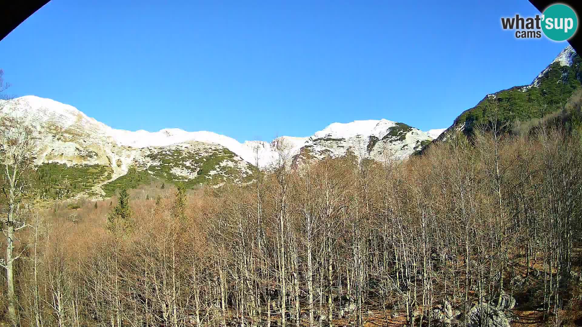 Cámara web PLANINA RAZOR (1315) | vista a Vogel y Globoko