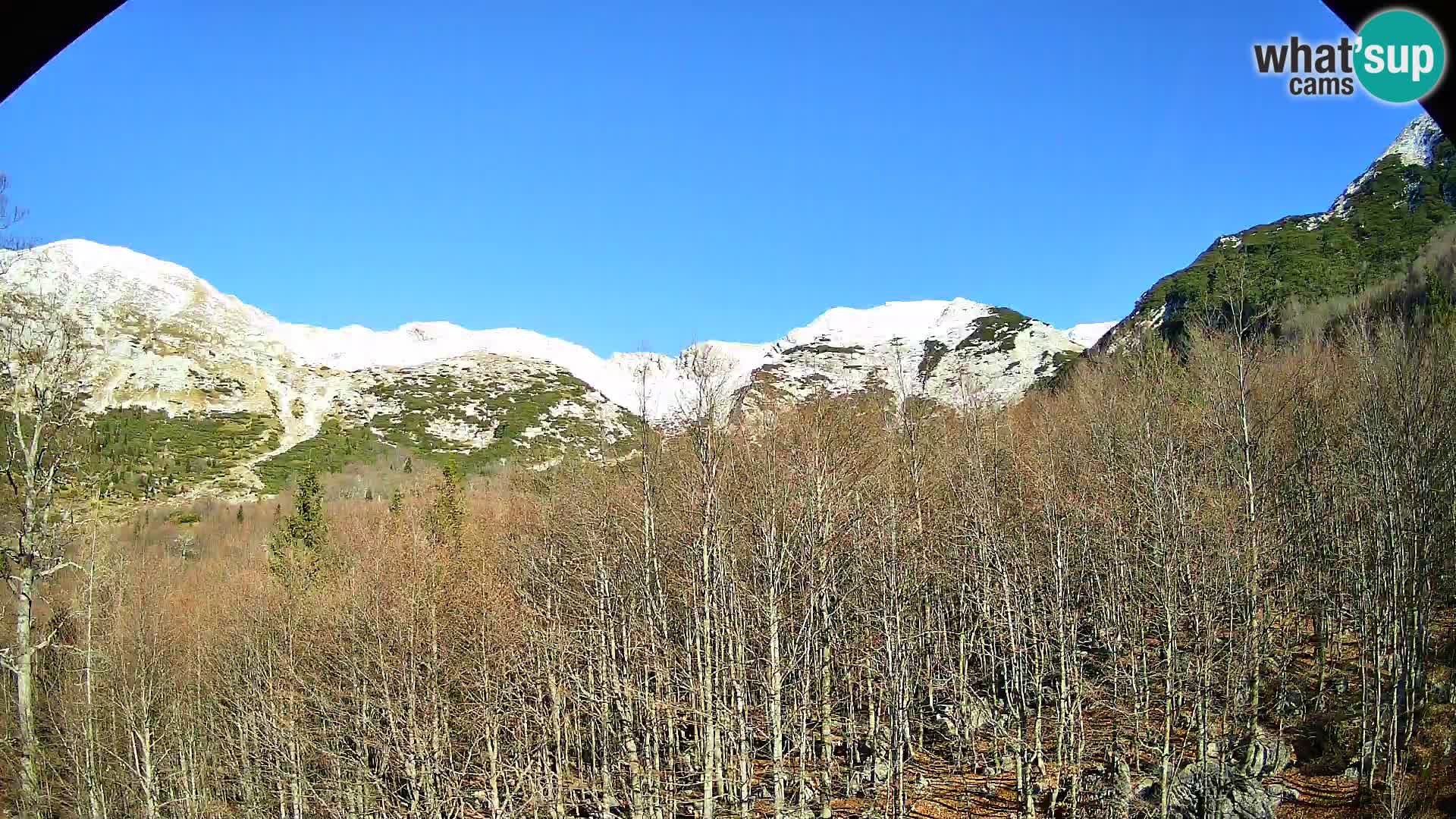 Webcam PLANINA RAZOR (1315) | Blick auf Vogel und Globoko