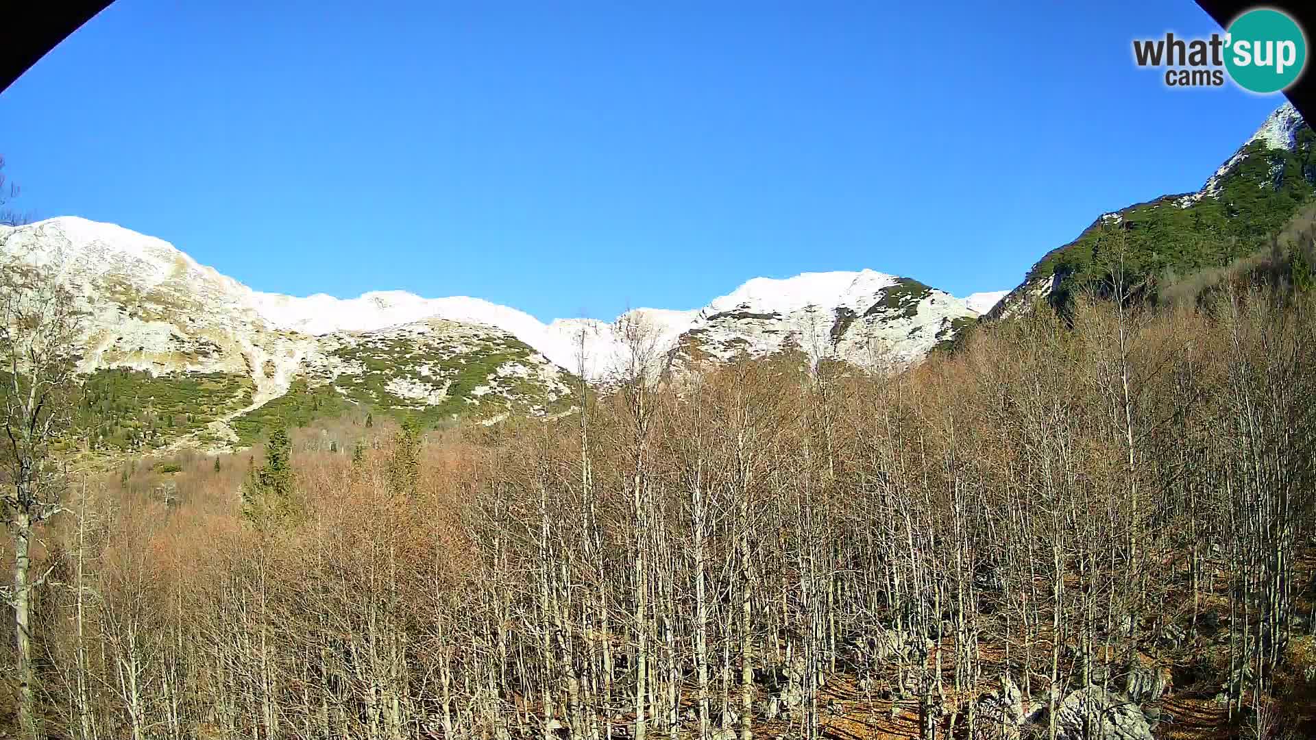 Cámara web PLANINA RAZOR (1315) | vista a Vogel y Globoko