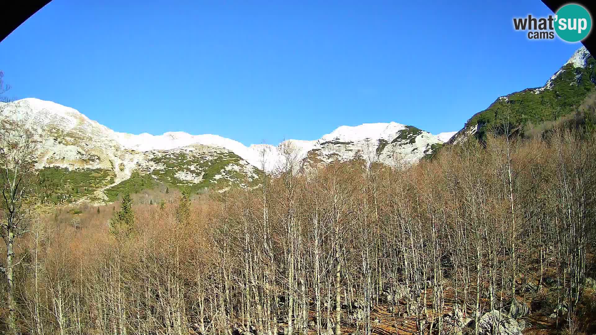 PLANINA RAZOR web kamera (1315) | pogled na Vogel i Globoko