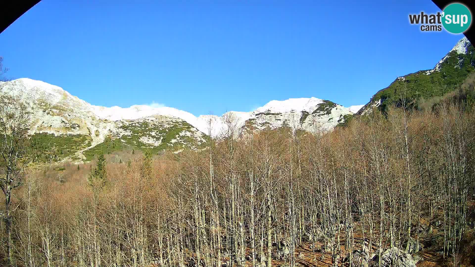 PLANINA RAZOR web kamera (1315) | pogled na Vogel i Globoko