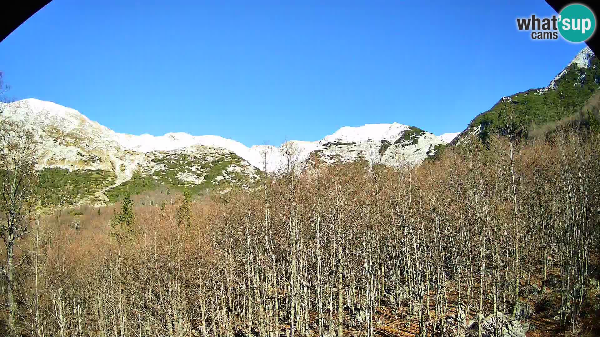 PLANINA RAZOR web kamera (1315) | pogled na Vogel i Globoko