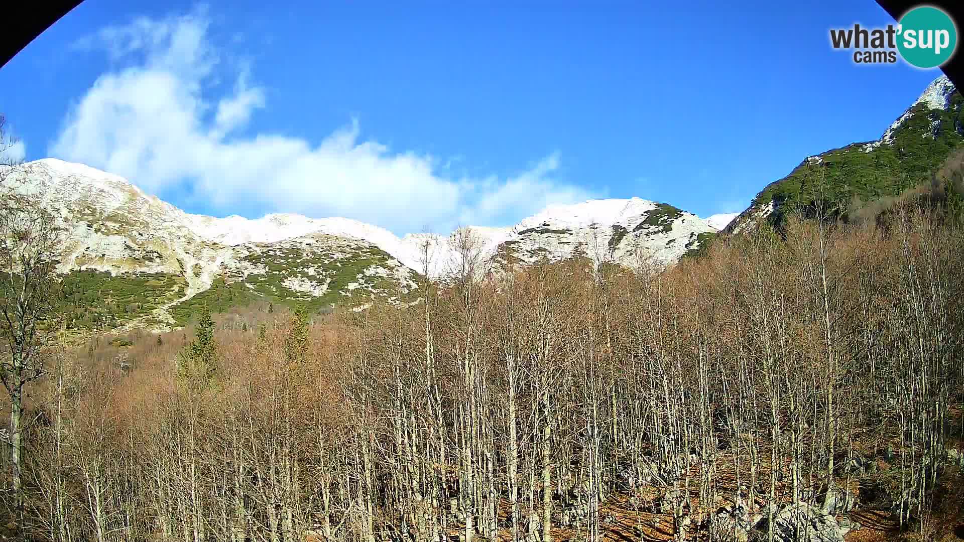 Cámara web PLANINA RAZOR (1315) | vista a Vogel y Globoko