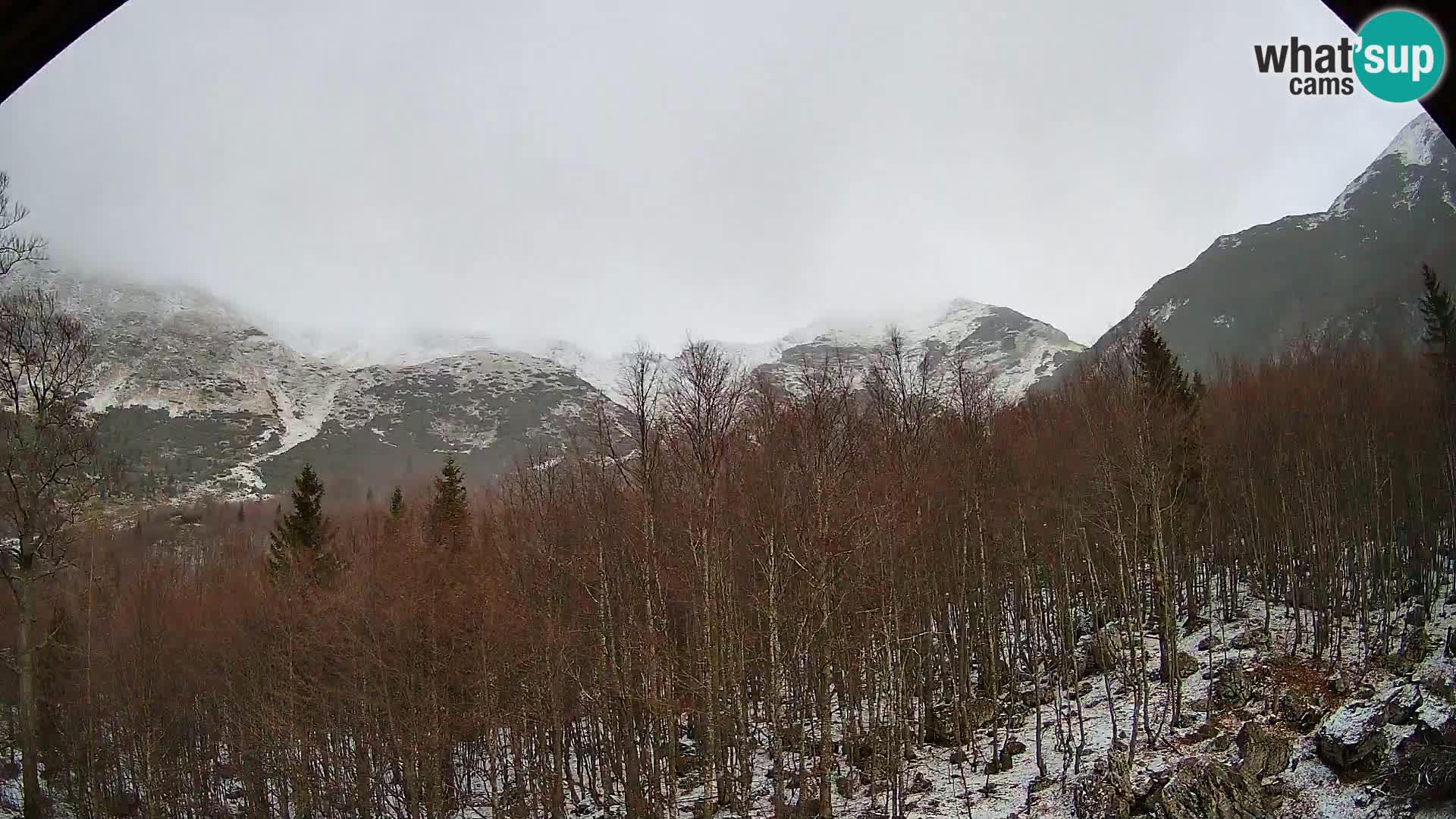 Webcam PLANINA RAZOR (1315) | Blick auf Vogel und Globoko