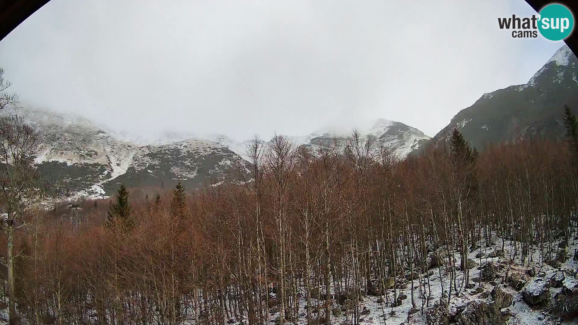 PLANINA RAZOR Live Cam (1315) | vista su Vogel e Globoko