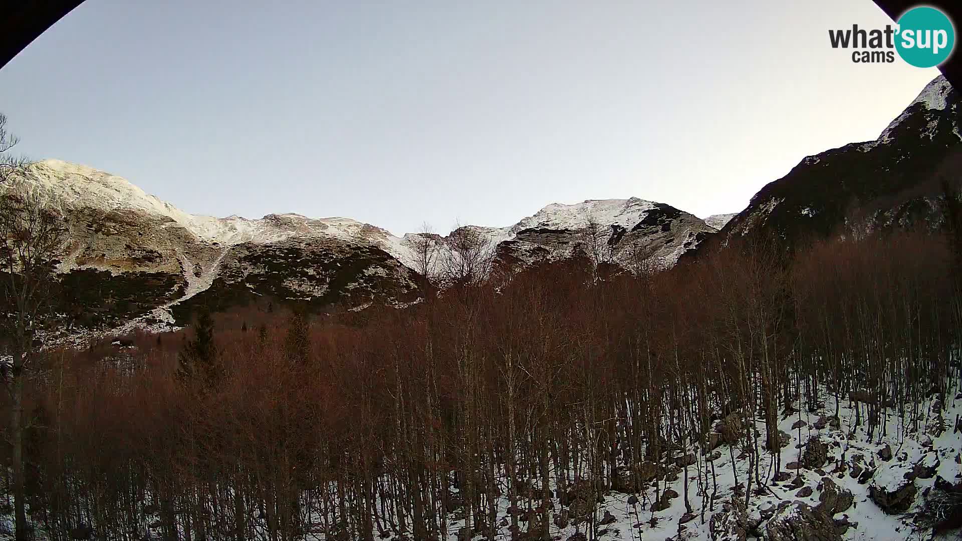 Webcam PLANINA RAZOR (1315) | Blick auf Vogel und Globoko