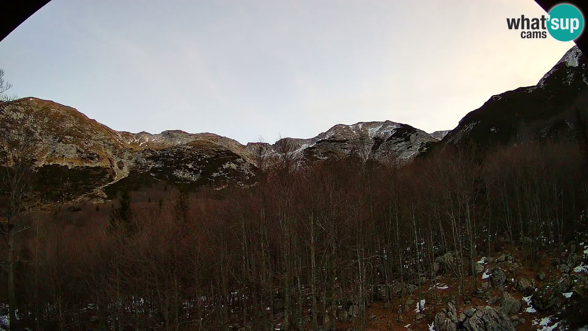 Webcam PLANINA RAZOR (1315) | Blick auf Vogel und Globoko