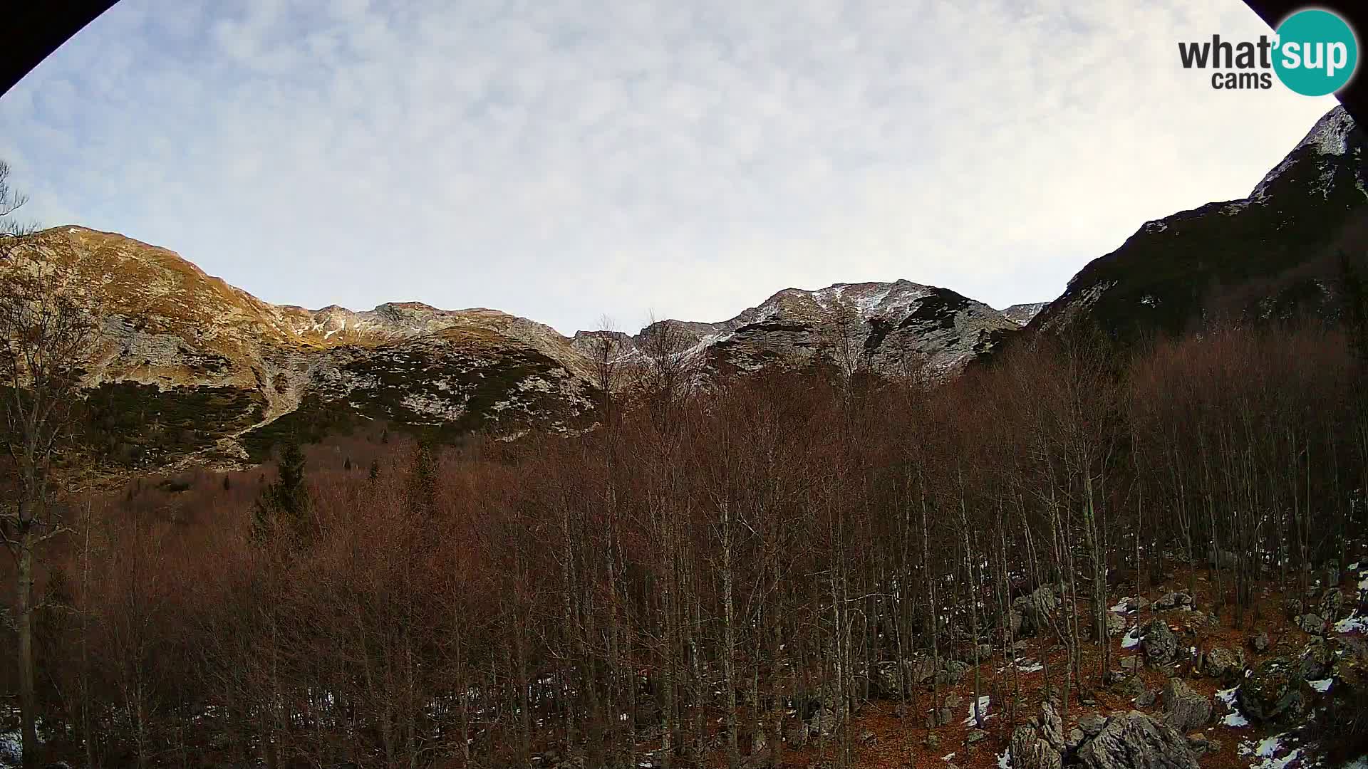 PLANINA RAZOR kamera (1315) | pogled na Vogel in Globoko