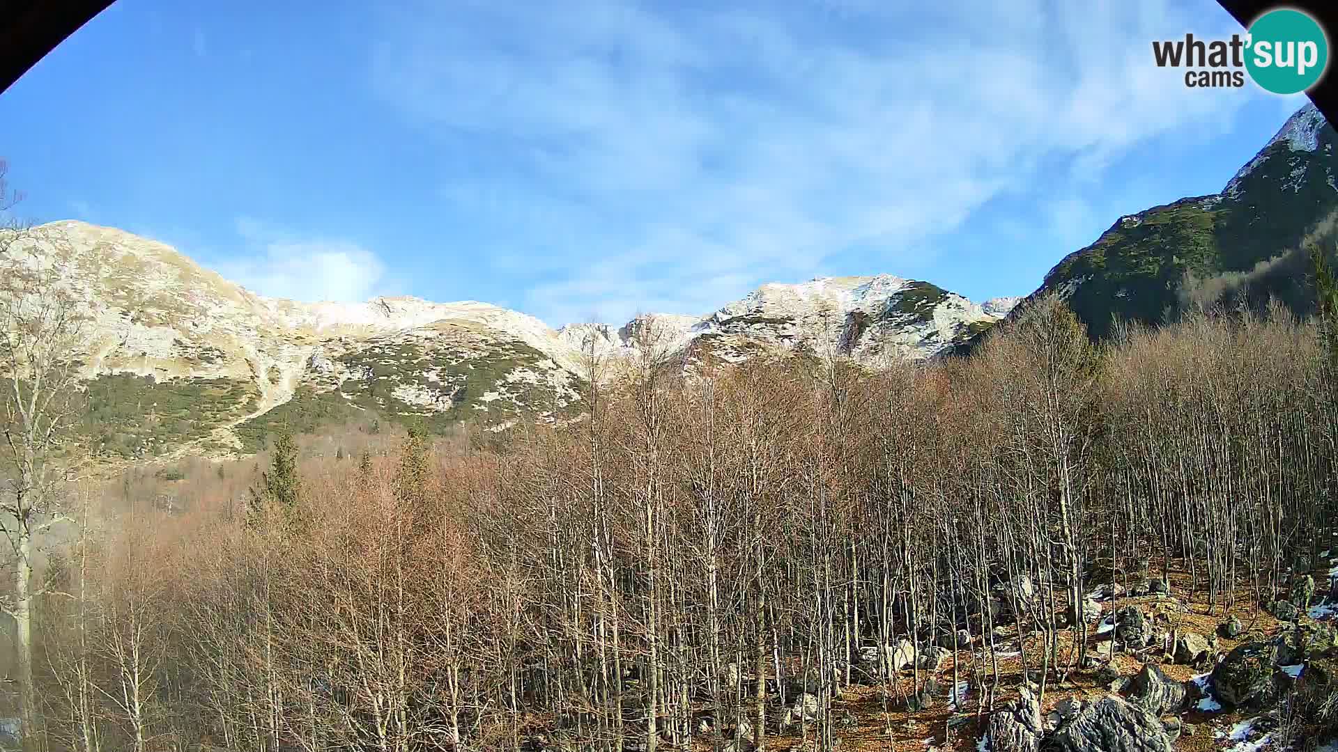 Webcam PLANINA RAZOR (1315) | Blick auf Vogel und Globoko