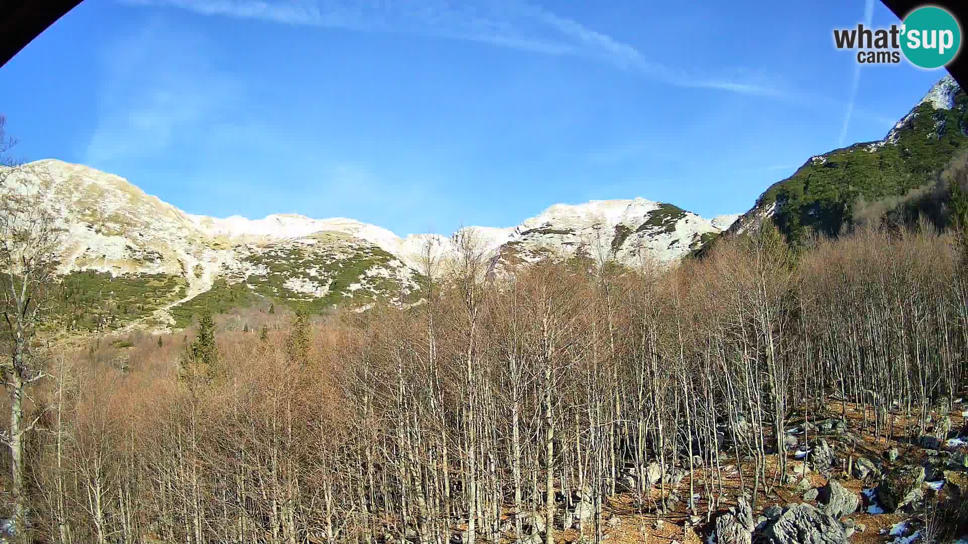 Cámara web PLANINA RAZOR (1315) | vista a Vogel y Globoko