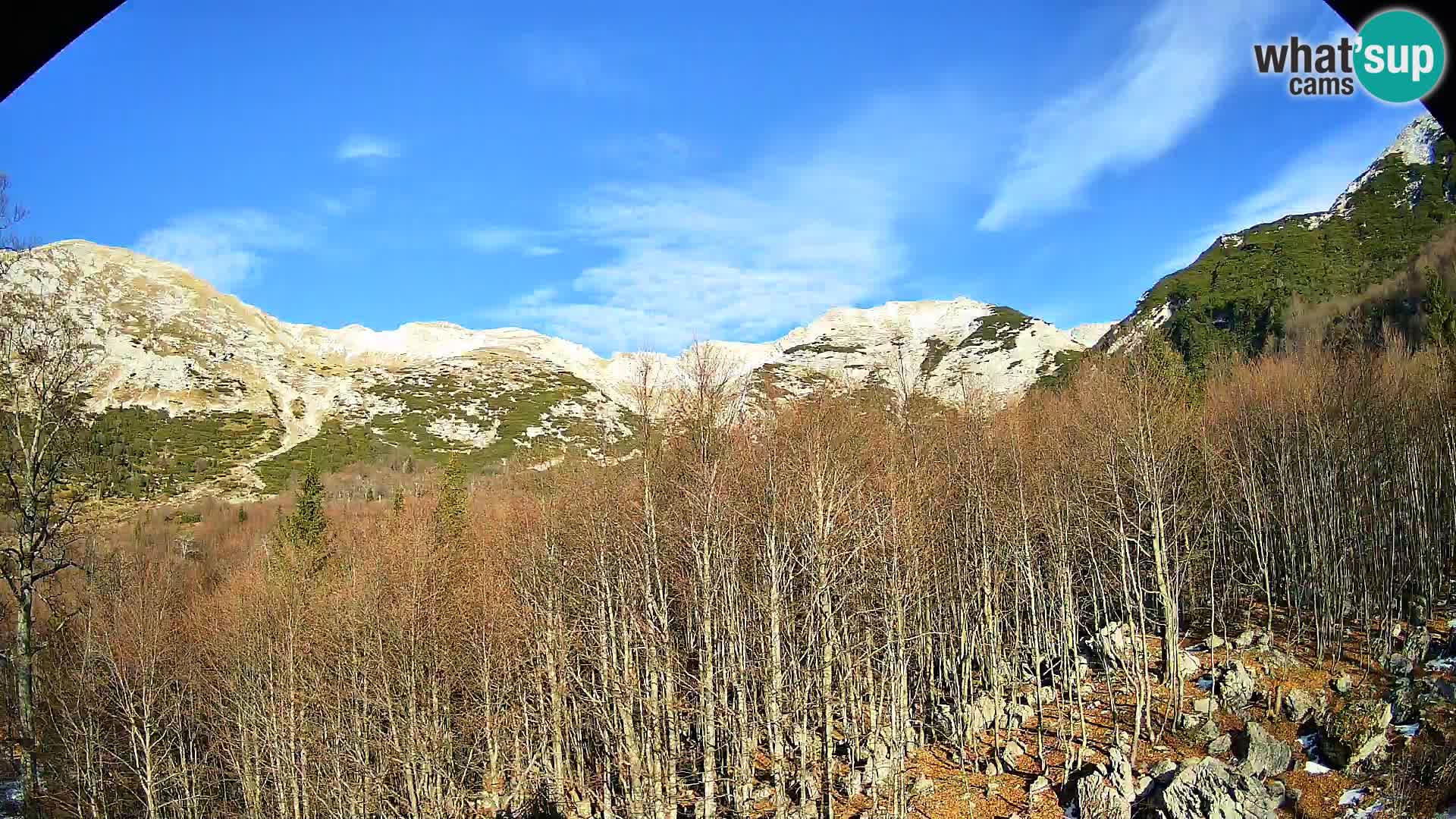 Cámara web PLANINA RAZOR (1315) | vista a Vogel y Globoko