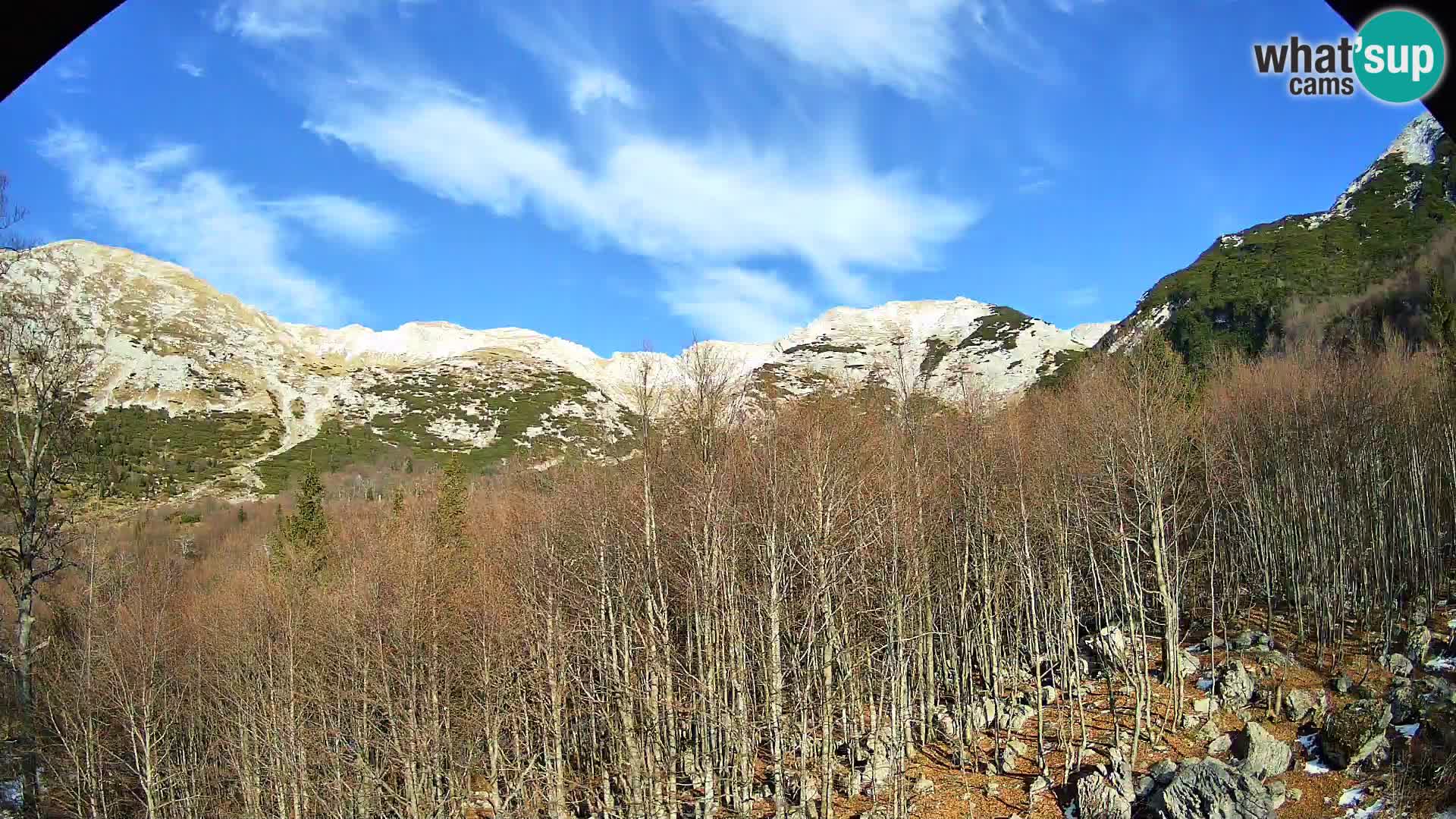 Cámara web PLANINA RAZOR (1315) | vista a Vogel y Globoko