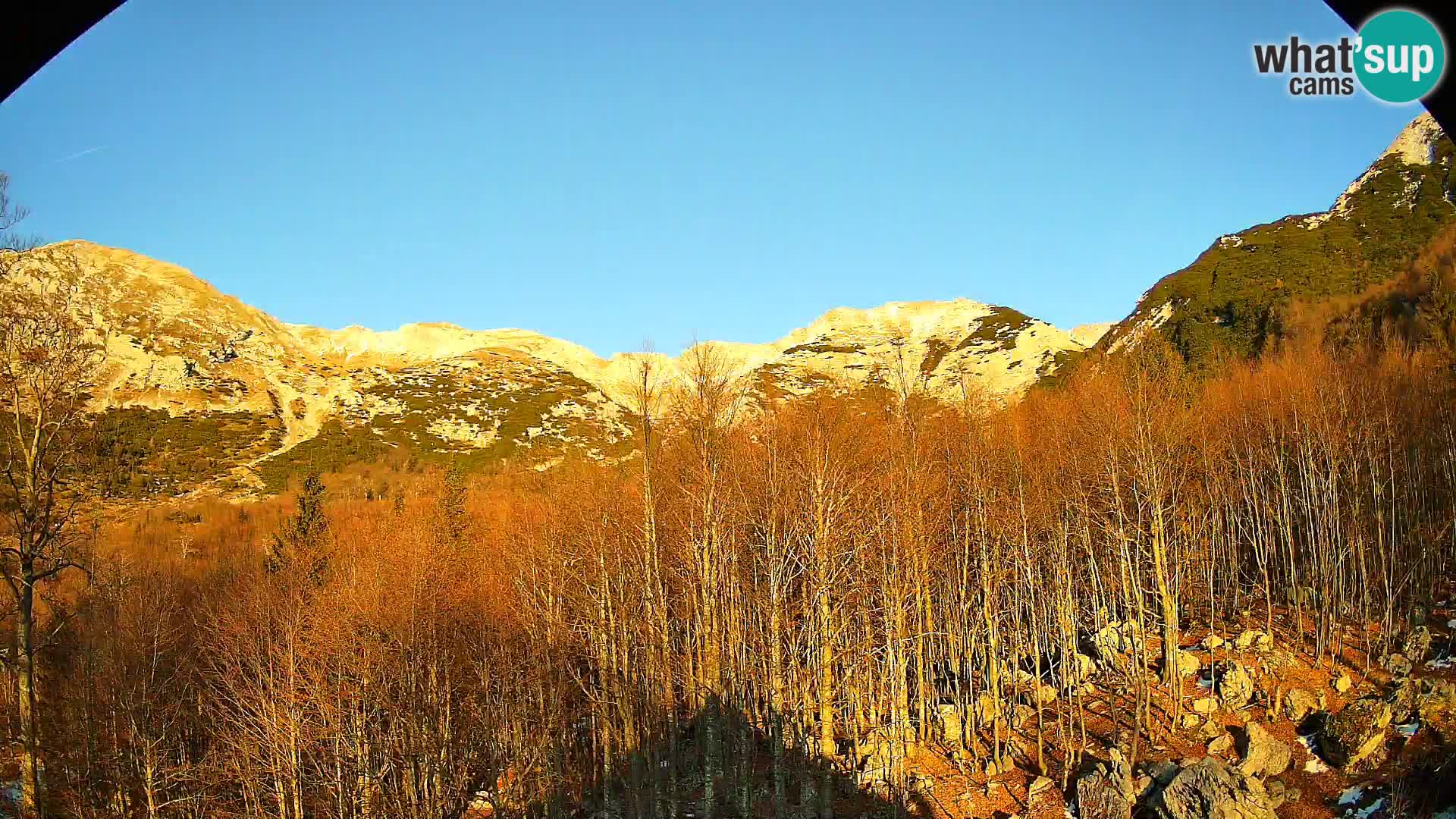 PLANINA RAZOR Live Cam (1315) | vista su Vogel e Globoko