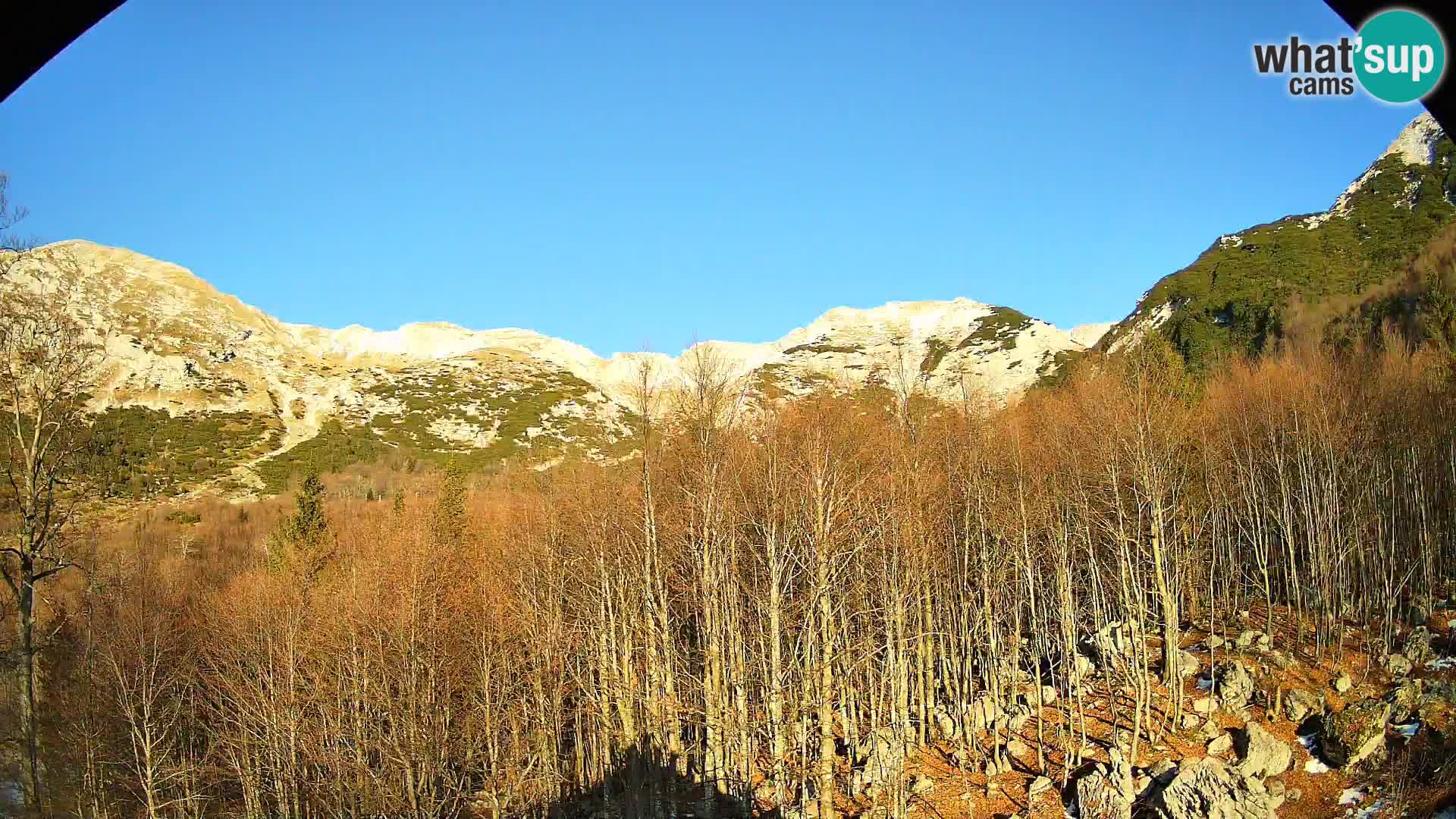 PLANINA RAZOR kamera (1315) | pogled na Vogel in Globoko