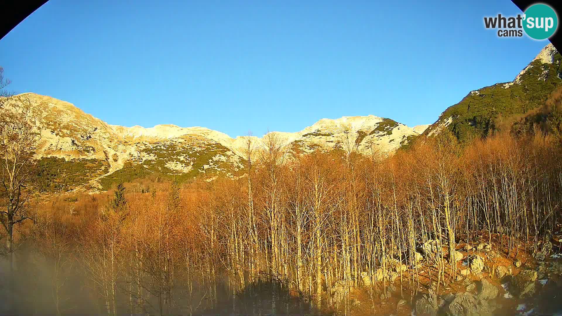 PLANINA RAZOR Live Cam (1315) | vista su Vogel e Globoko