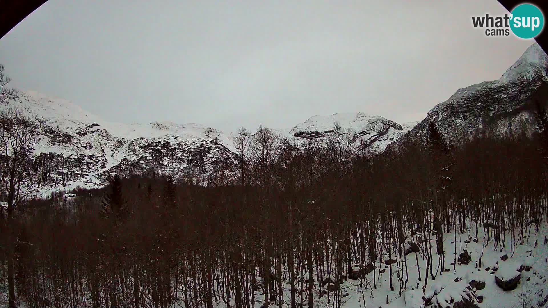 Webcam PLANINA RAZOR (1315) | Blick auf Vogel und Globoko