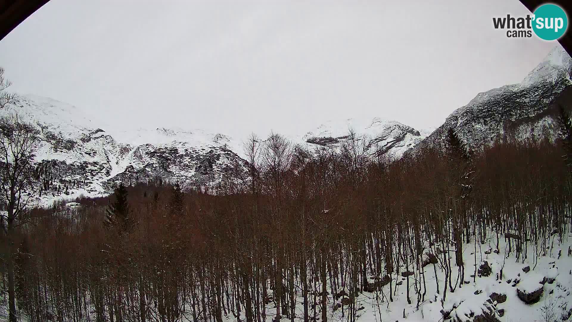 PLANINA RAZOR Live Cam (1315) | vista su Vogel e Globoko