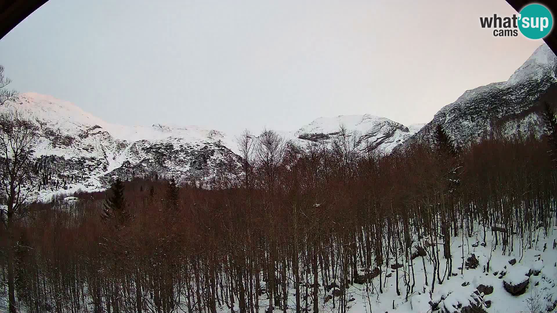 Webcam PLANINA RAZOR (1315) | Blick auf Vogel und Globoko