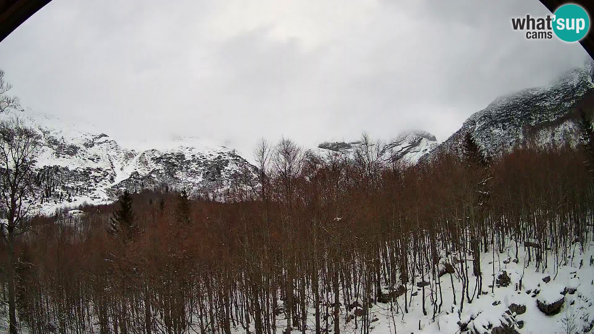 PLANINA RAZOR web kamera (1315) | pogled na Vogel i Globoko