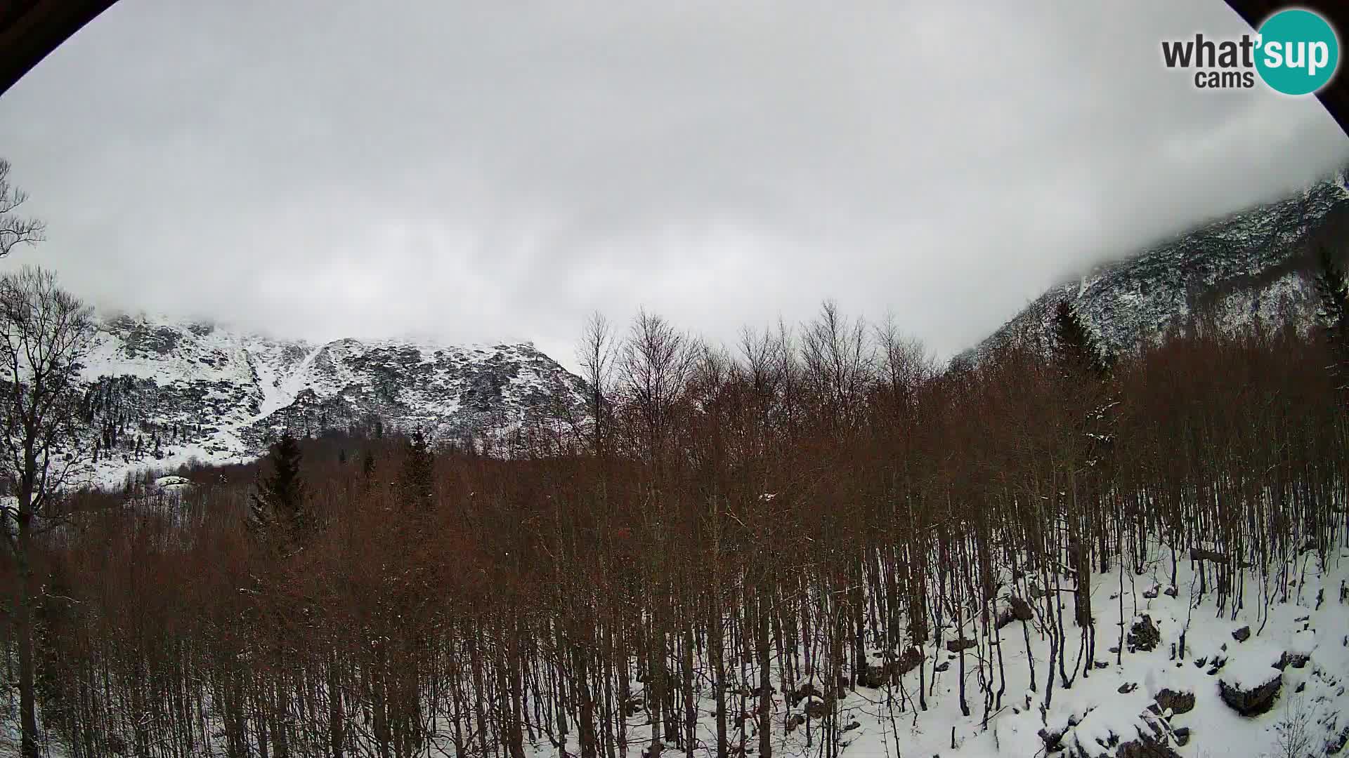 PLANINA RAZOR kamera (1315) | pogled na Vogel in Globoko