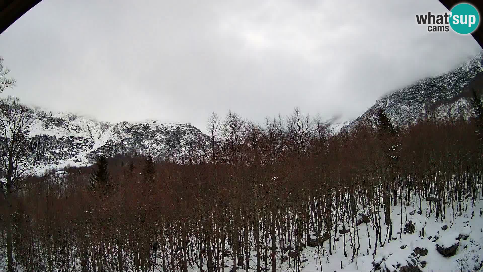 Webcam PLANINA RAZOR (1315) | Blick auf Vogel und Globoko