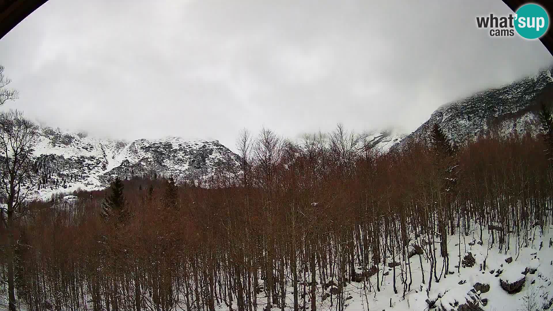 PLANINA RAZOR kamera (1315) | pogled na Vogel in Globoko