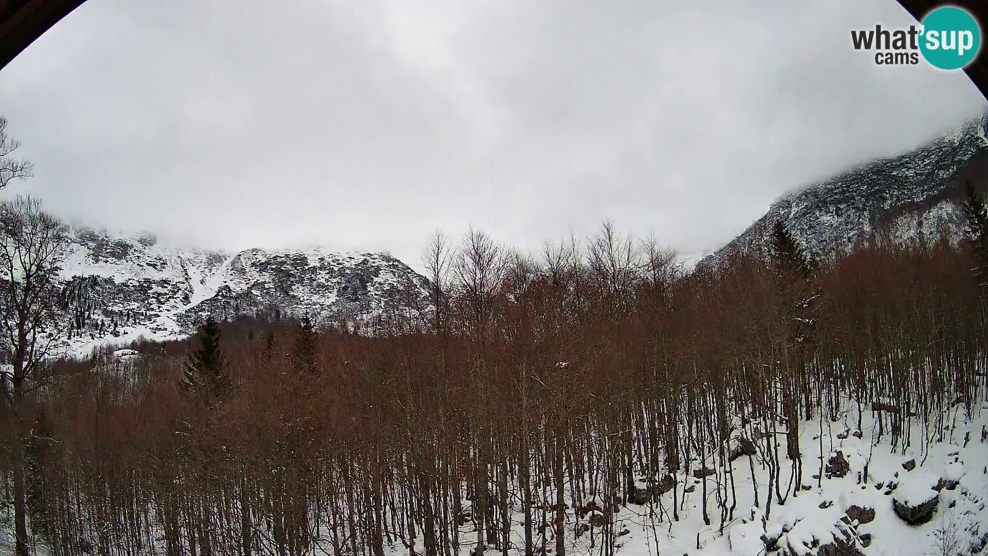 PLANINA RAZOR kamera (1315) | pogled na Vogel in Globoko