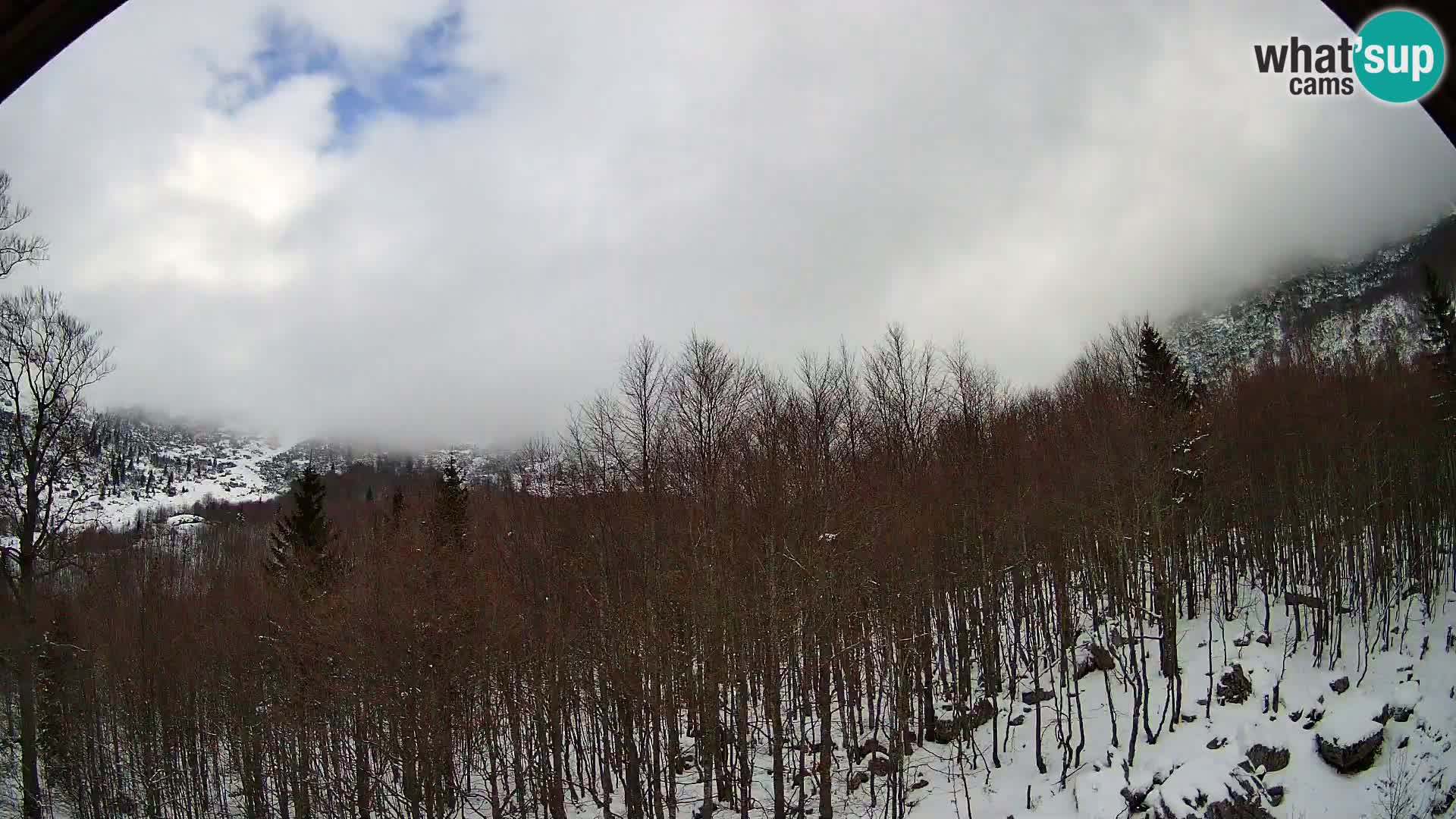 PLANINA RAZOR webcam (1315) | view to Vogel and Globoko