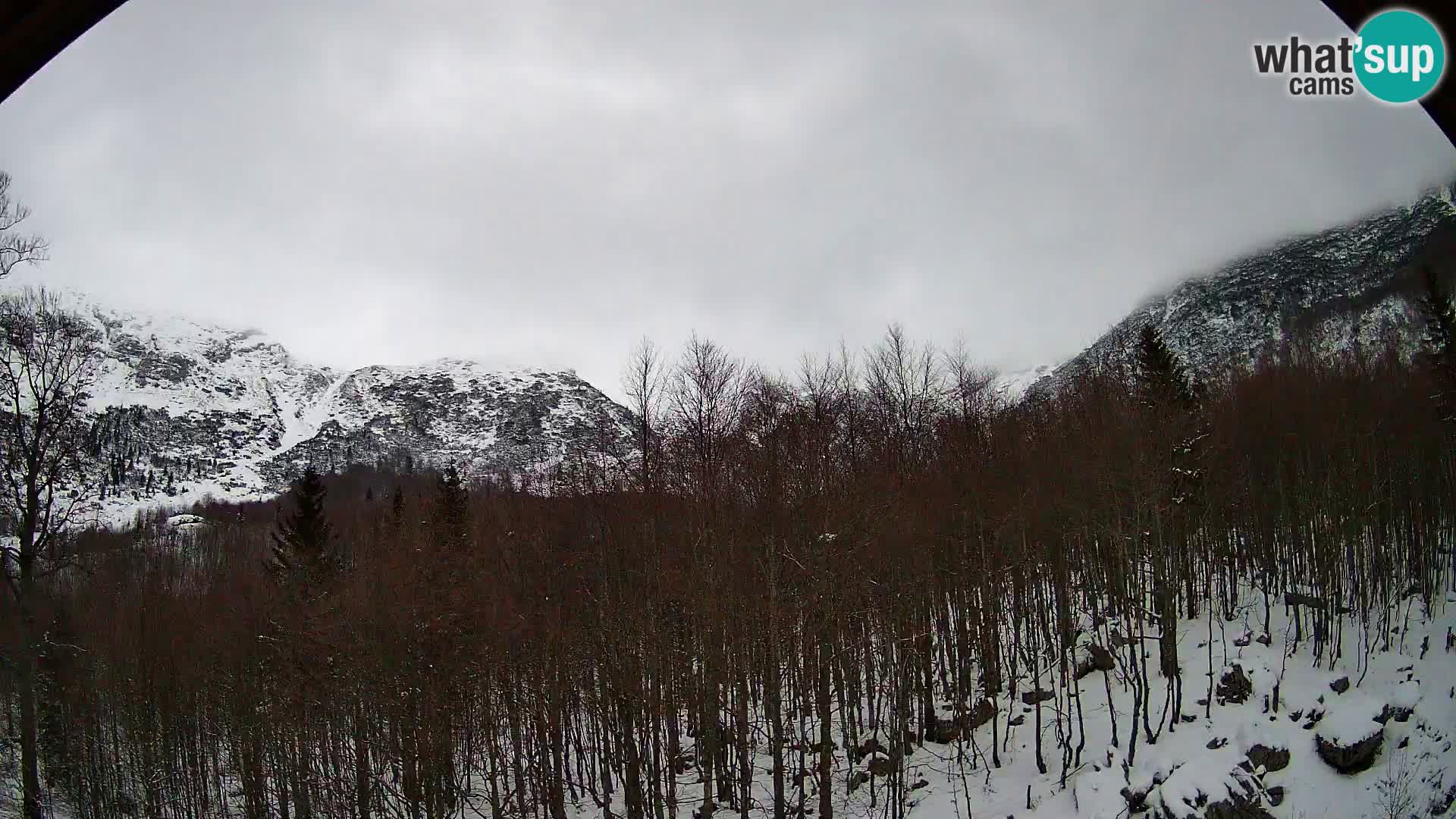 PLANINA RAZOR Live Cam (1315) | vista su Vogel e Globoko