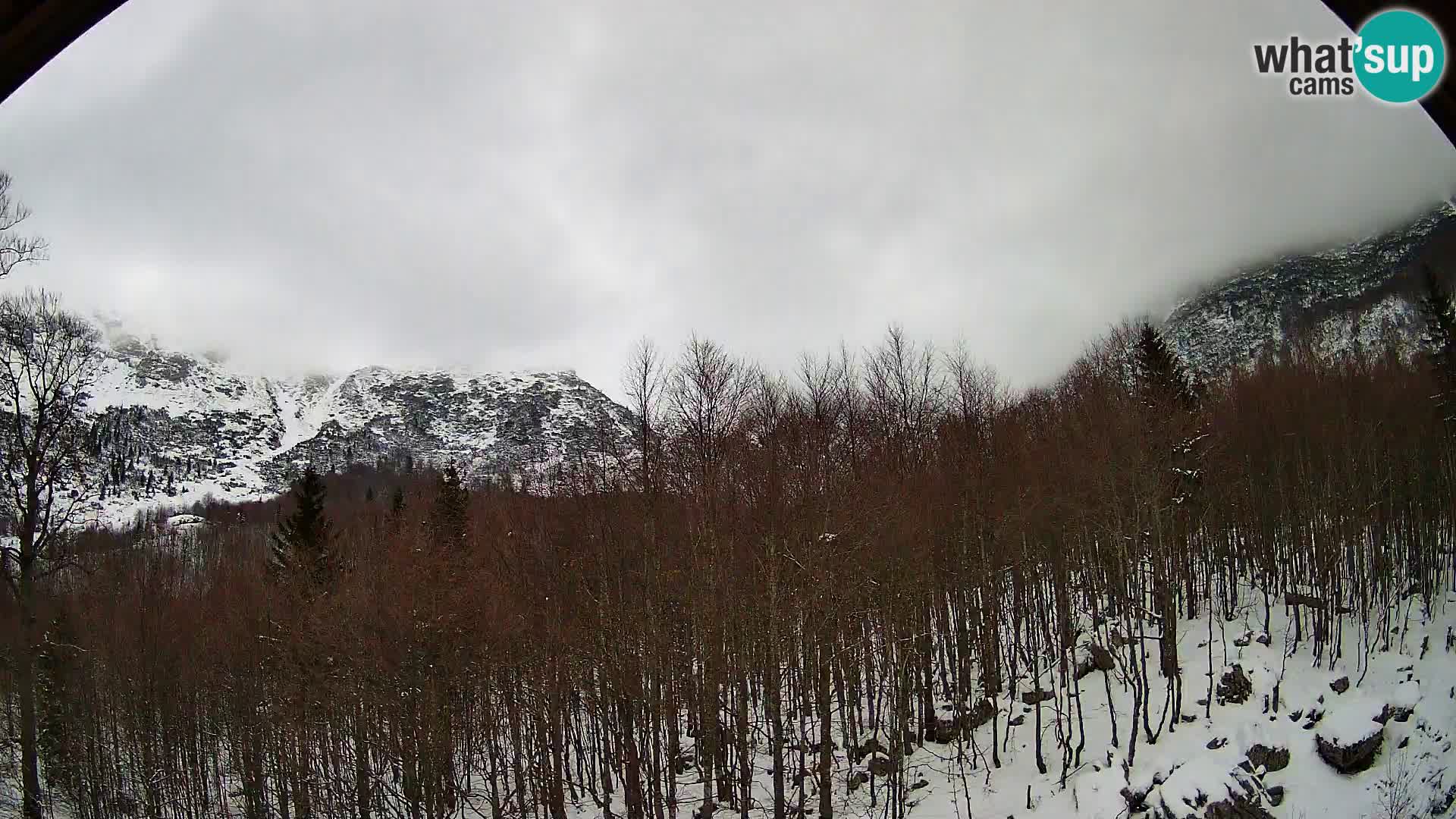 Livecam PLANINA RAZOR (1315) | vue sur Vogel et Globoko