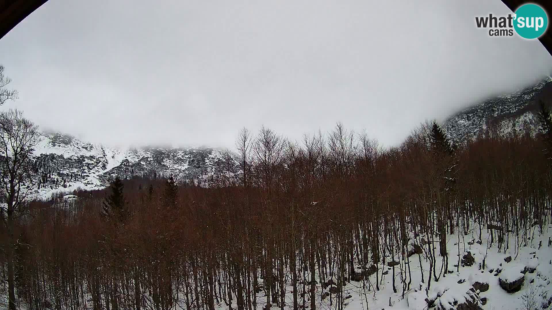 Cámara web PLANINA RAZOR (1315) | vista a Vogel y Globoko