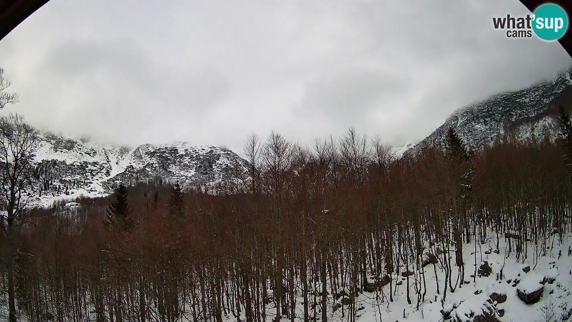 PLANINA RAZOR Live Cam (1315) | vista su Vogel e Globoko