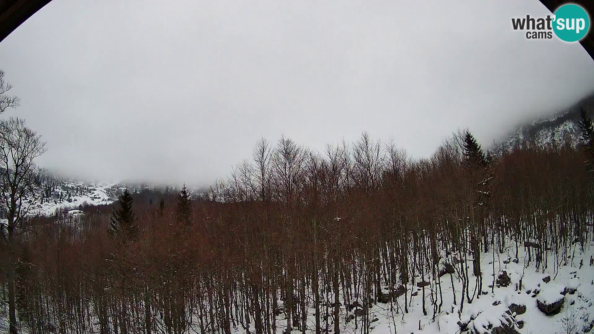 PLANINA RAZOR Live Cam (1315) | vista su Vogel e Globoko