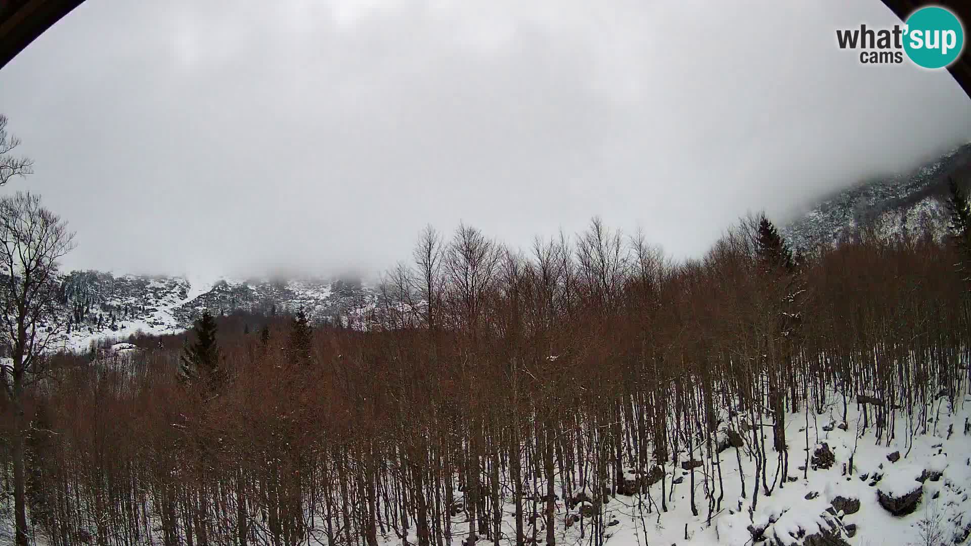 PLANINA RAZOR webcam (1315) | view to Vogel and Globoko