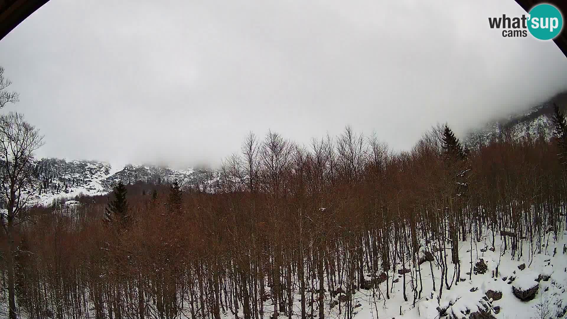 Webcam PLANINA RAZOR (1315) | Blick auf Vogel und Globoko