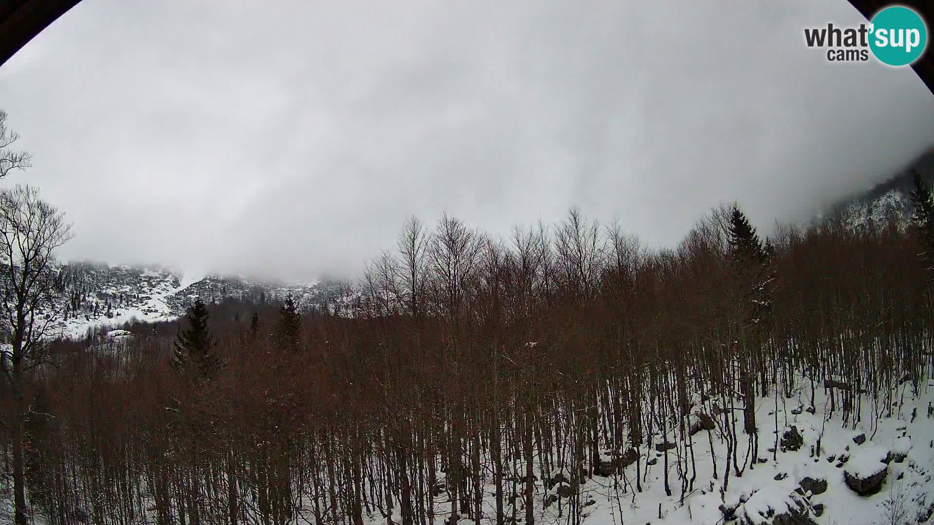 PLANINA RAZOR webcam (1315) | view to Vogel and Globoko