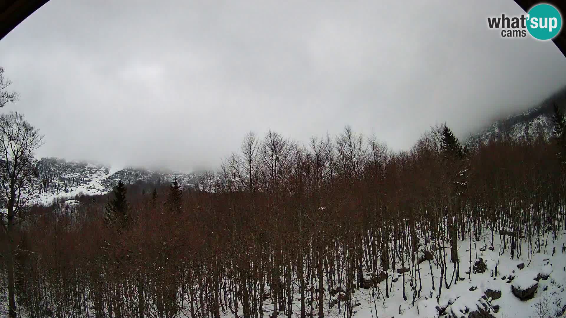 Webcam PLANINA RAZOR (1315) | Blick auf Vogel und Globoko